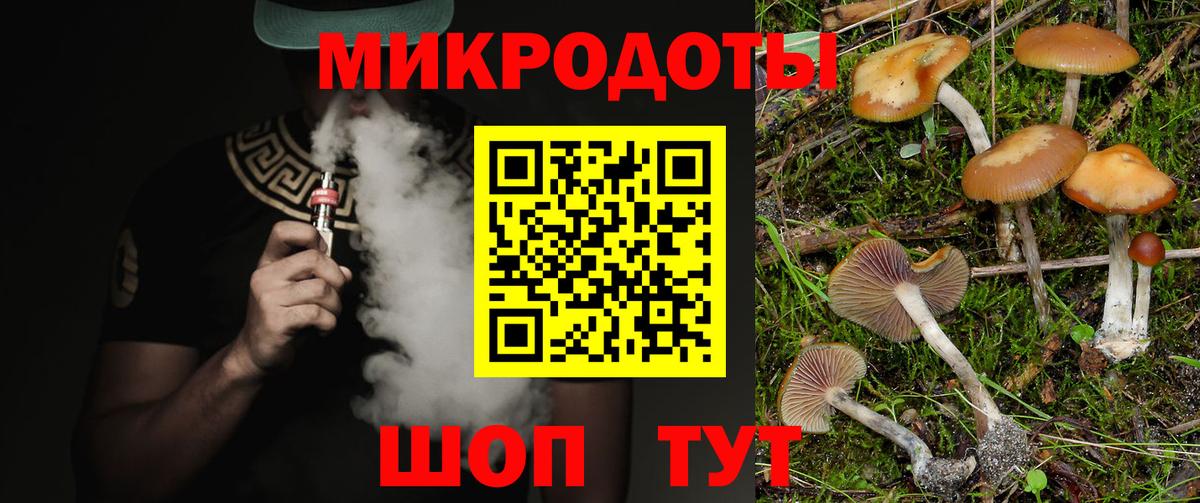 Галлюциногенные грибы мицелий  Вход с VPN  Елизово 
