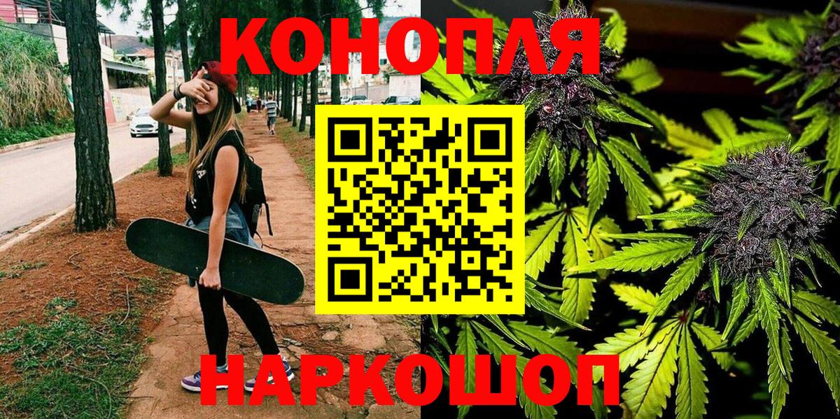 Бошки марихуана планчик  Каннабис White Widow  Елизово  Вход с VPN 